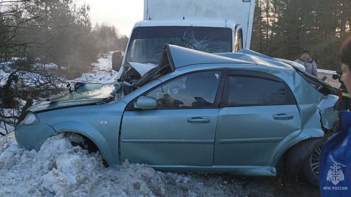 Тела погибших извлекли из автомобиля пострадавшего в ДТП в Городецком округе