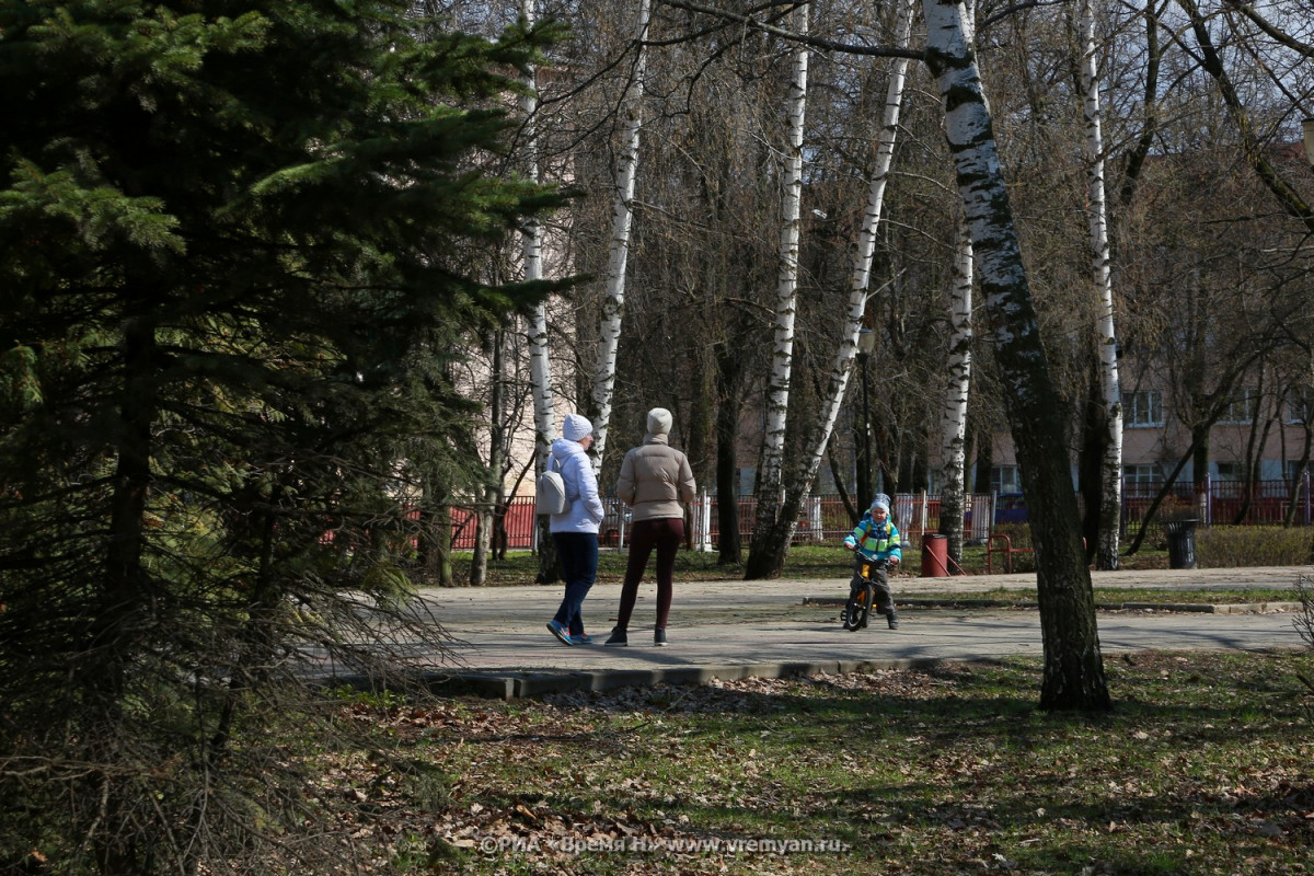 Пятилетие семьи в Нижегородской области