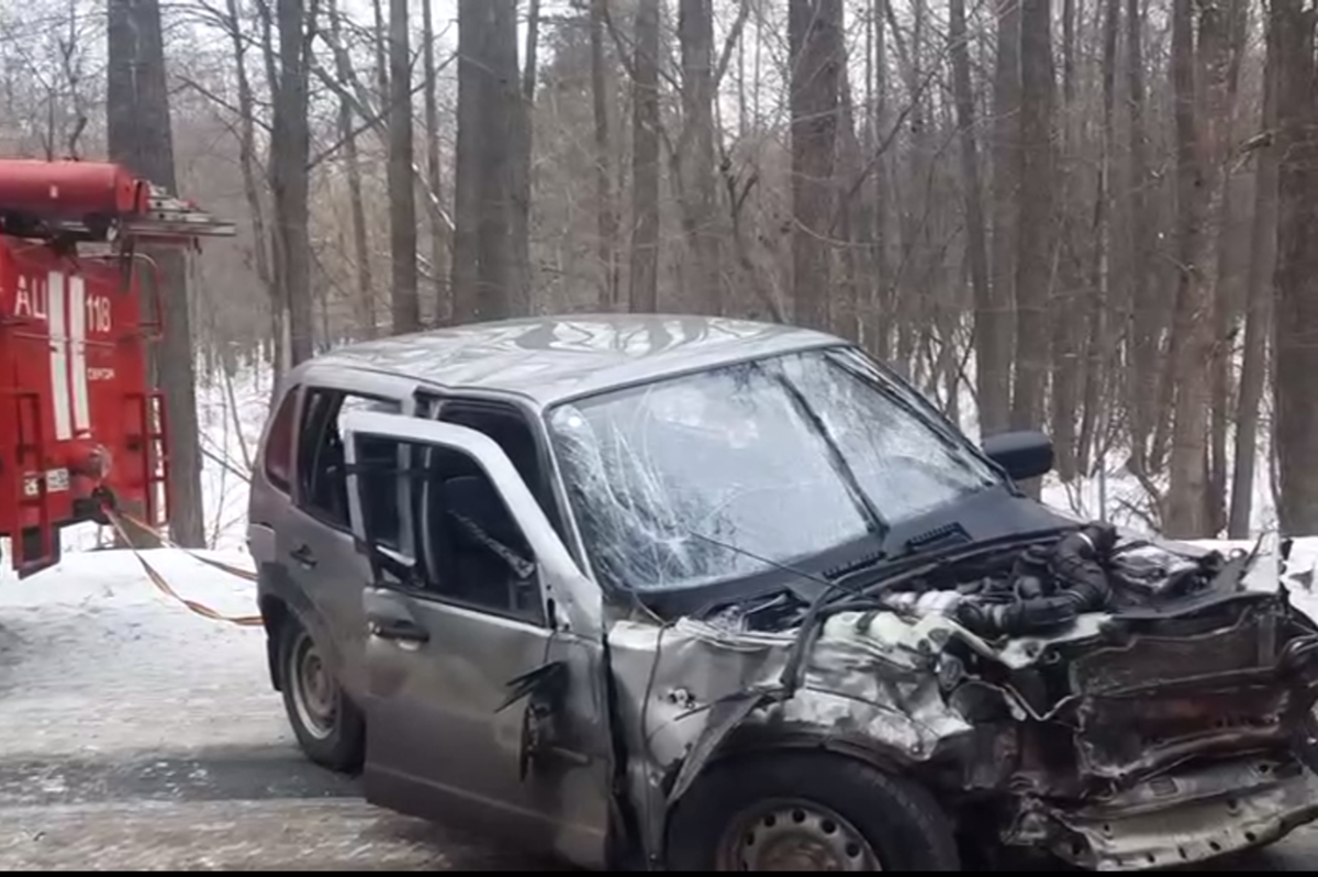 Пять человек пострадали в массовом ДТП в Нижегородской области