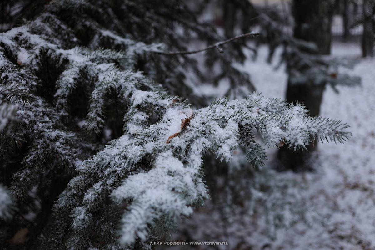 Небольшой снег и до −3°C ожидается в Нижнем Новгороде 4 февраля