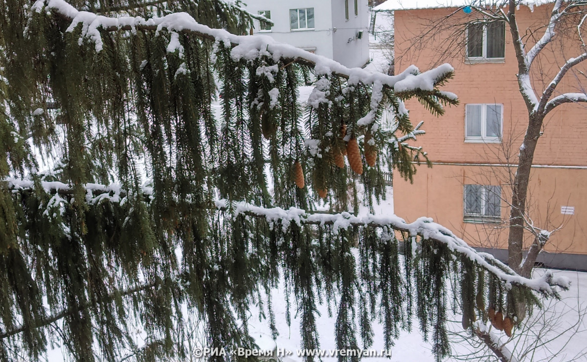 Снежные и морозные выходные ждут нижегородцев