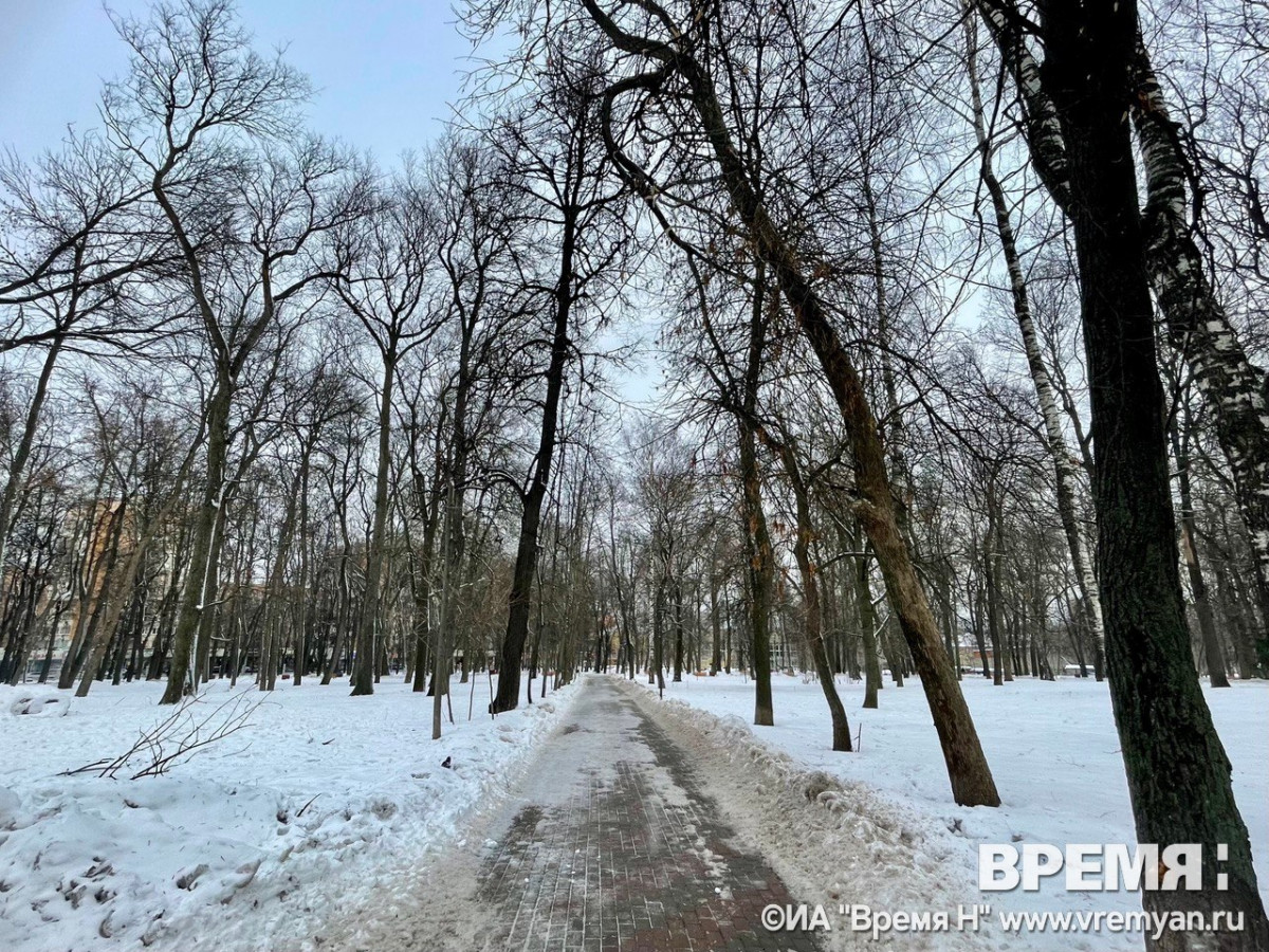 Пасмурно и до −6°C будет в Нижнем Новгороде днем 25 февраля