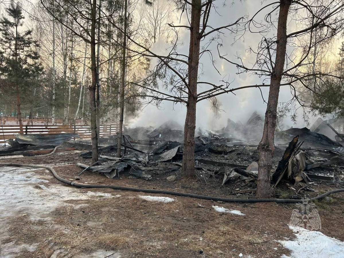 Частный дом сгорел утром 2 марта в Городце