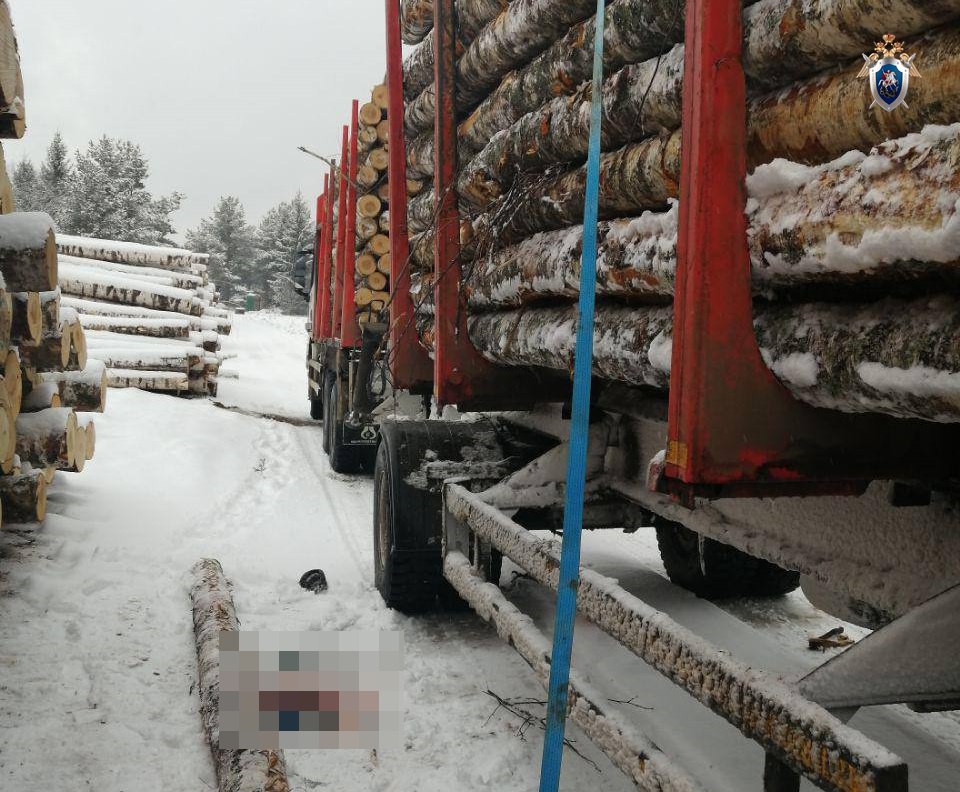 Уголовное по факту гибели водителя лесовоза возбудили в Нижегородской области