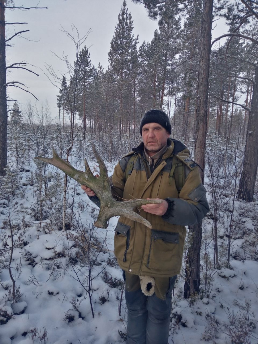 Сотрудники Керженского заповедника показали свои находки из заснеженного леса