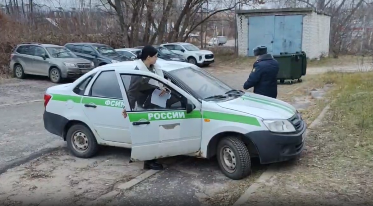 Натравившей алабая на соседа нижегородке вынесли суровый приговор