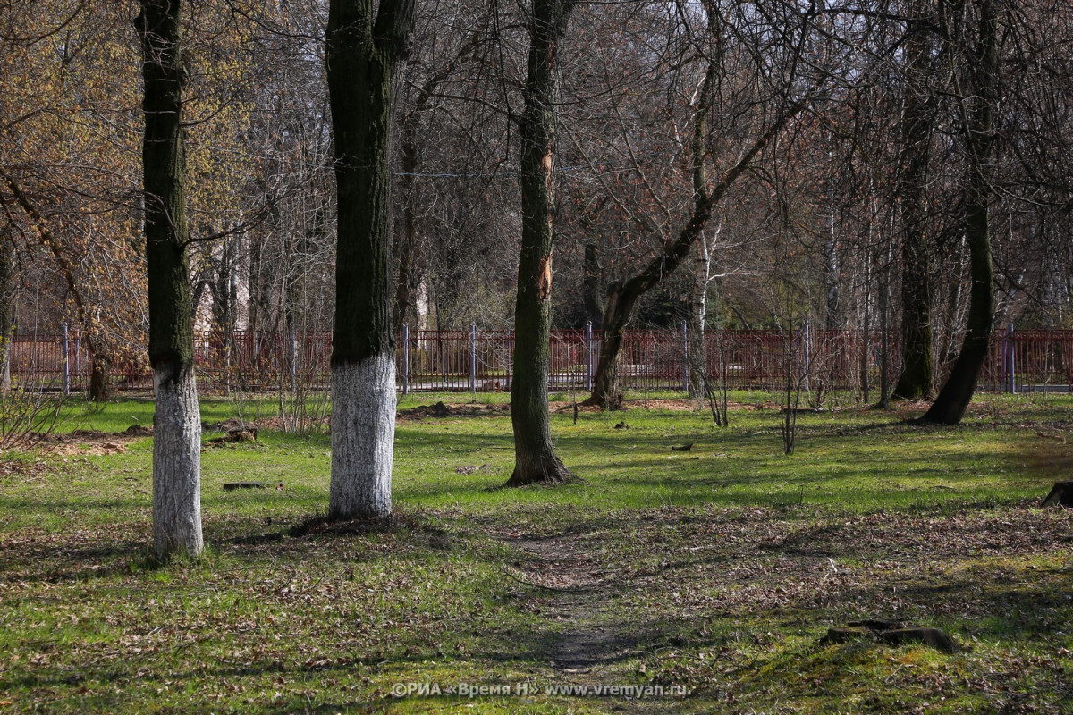 Облачно с прояснениями и до +18°C будет в Нижнем Новгороде 16 апреля