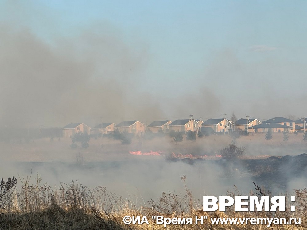 Крупный природный пожар снова тушат в Новинках
