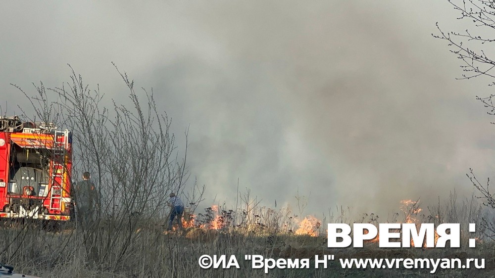 Очевидцы пожара в Новинках: трава могла загореться из-за детской шалости